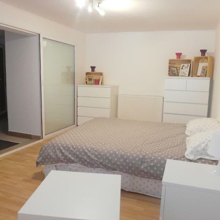 Appartement Studio Moliere à Braşov Extérieur photo