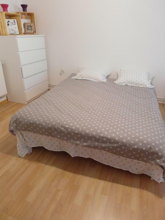 Appartement Studio Moliere à Braşov Extérieur photo